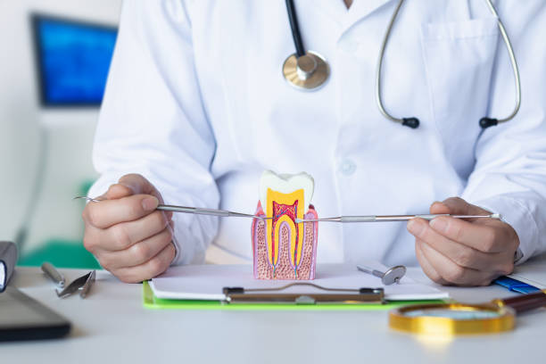 Best Emergency Wisdom Tooth Extraction in Hebron, OH